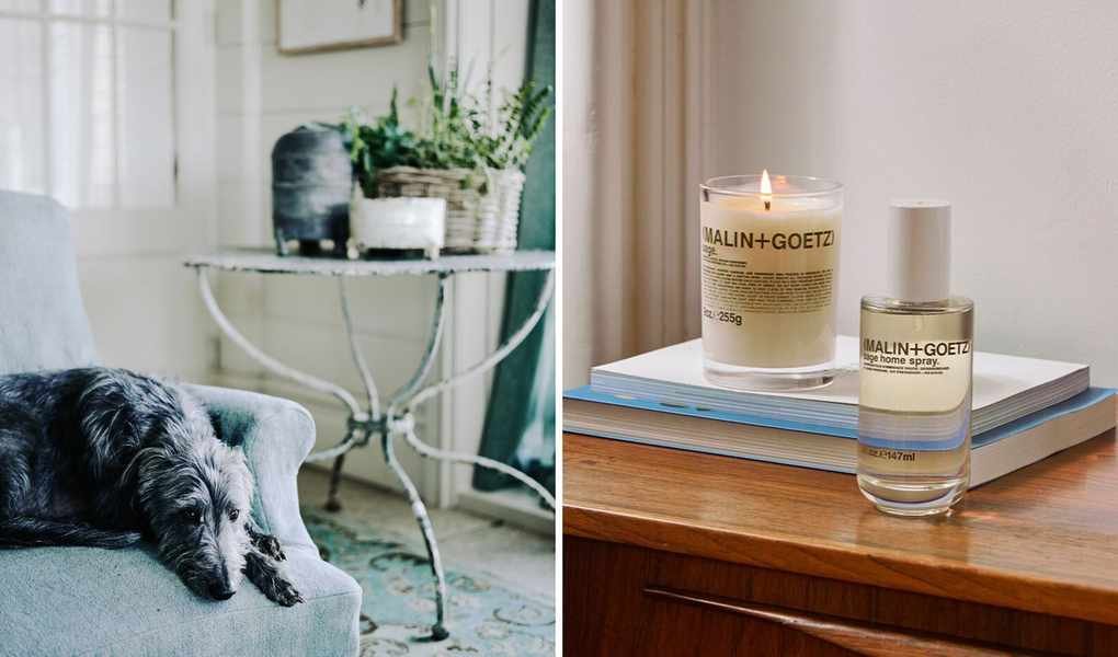 This Pet-Safe Odor Eliminator Spray Tackles Odors Instantly