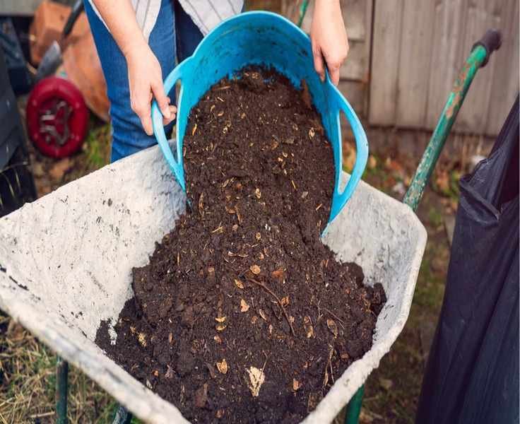 Stop Compost Odors: 5 Effective Ways to Keep Your Bin Fresh