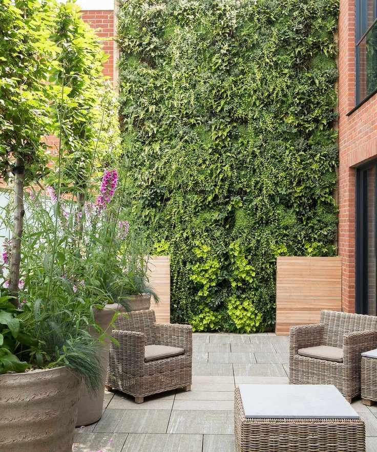 A living wall planted with leafy greenery in a small garden.