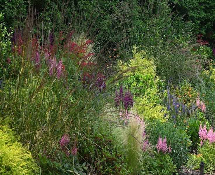 Mosaic Planting: A Thoughtful Alternative to Wildflower Mixes