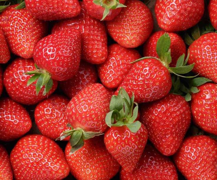 A harvest of ripe strawberries