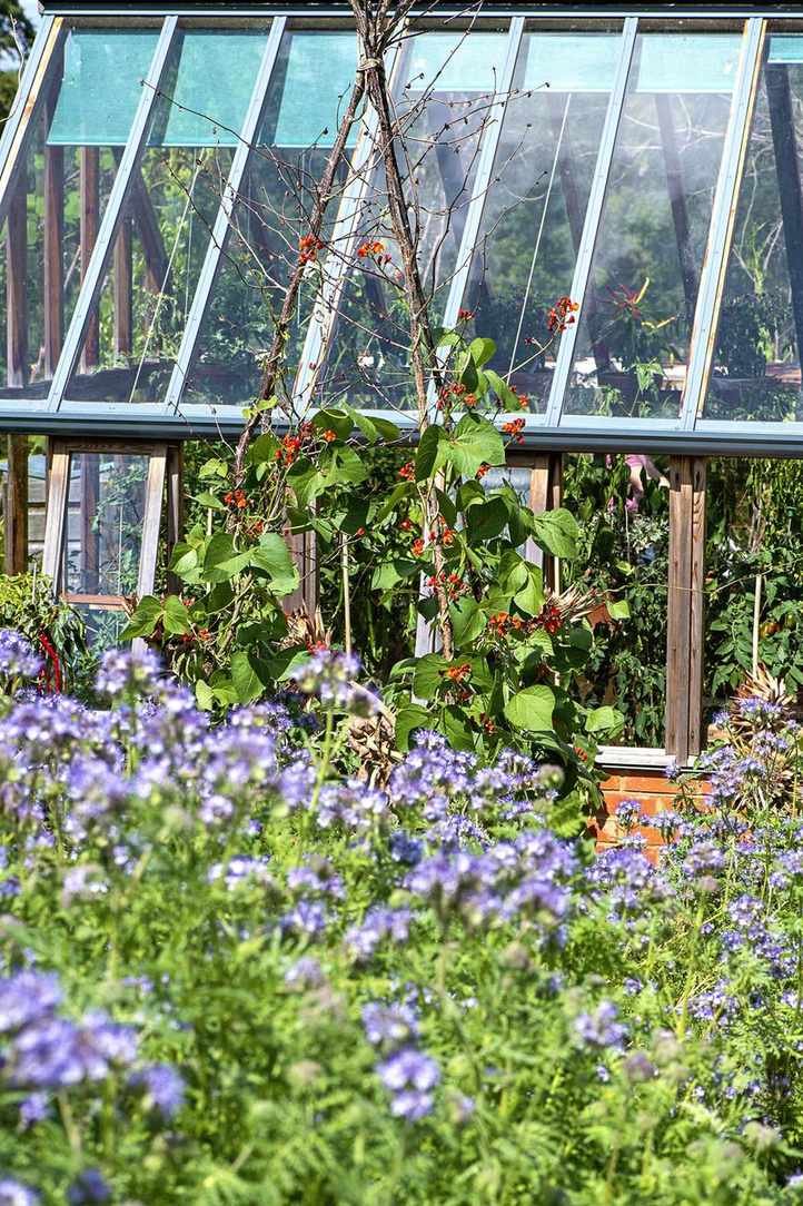 vegetable garden ideas GettyImages-1287385765