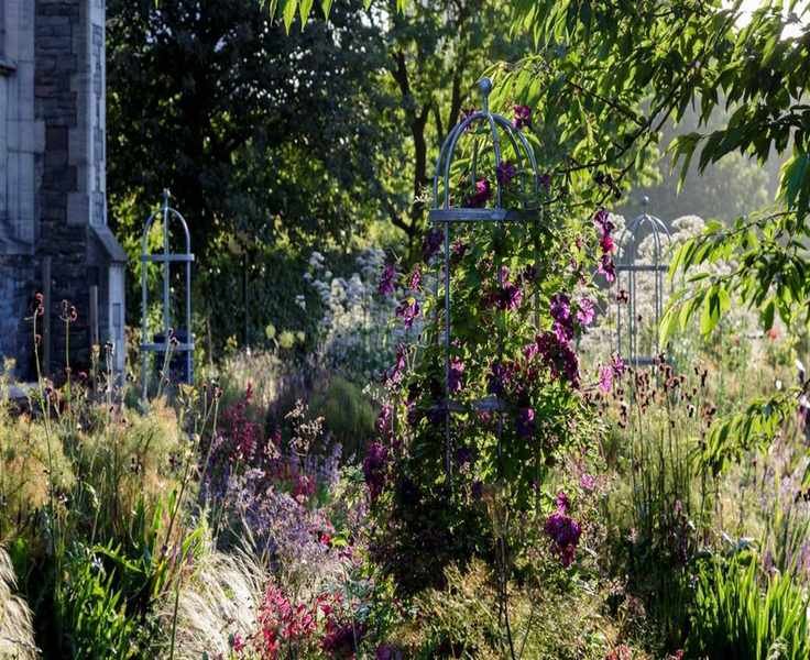 Beware of False Spring: Protect Your Garden from Early Planting