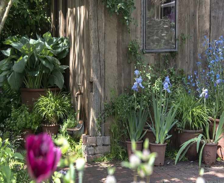 5 Charming Portable Gardening Ideas Perfect for Renters