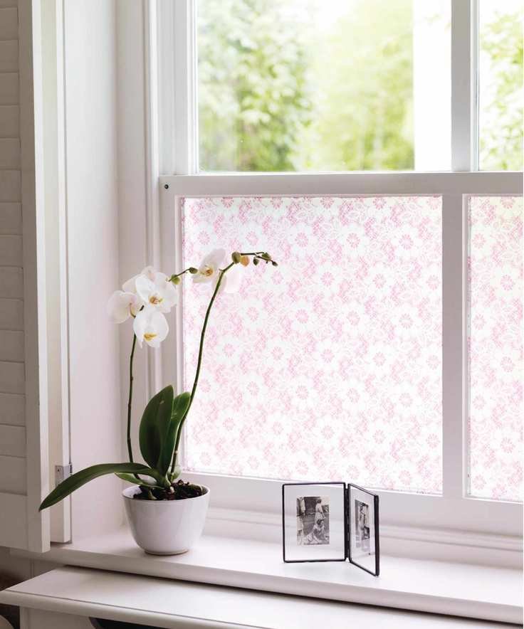 Orchid on windowsill