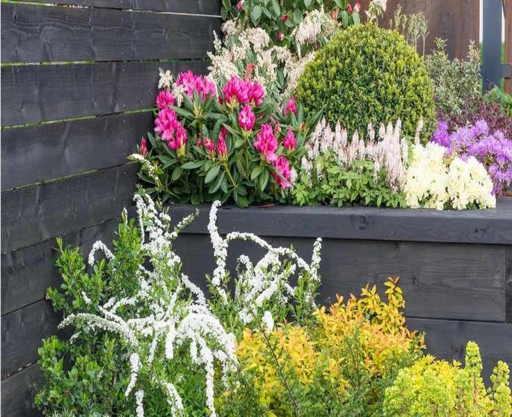 Transform Bare Spots in Your Flower Bed with These Lovely Filler Plants
