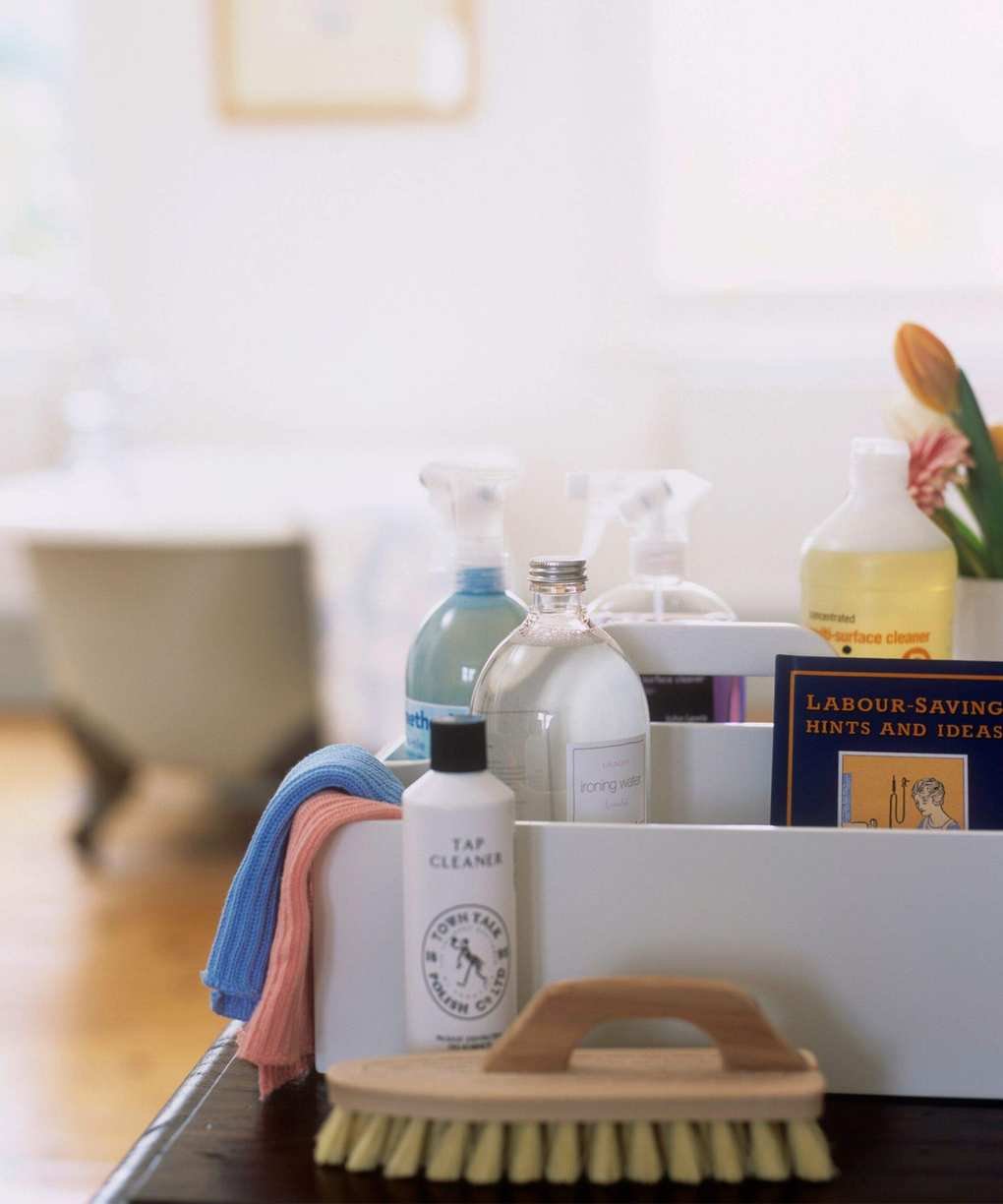 Bathroom detail assorted cleaning products scubbing hand brush lint free cloths bottles various cleaners sprays detergents tap cleaner
