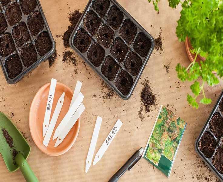 Choosing the Right Soil for Successful Seed Starting