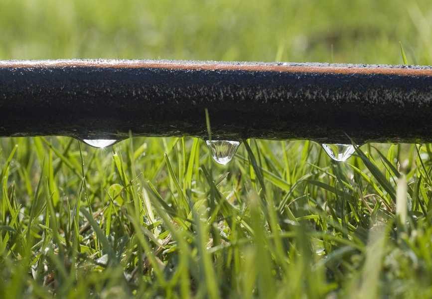 Understanding Soaker Hoses: A Simple Way to Water Your Garden