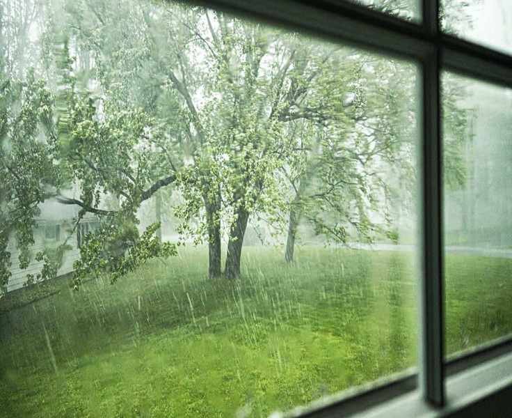 Thunderstorms and Pollen Allergies: Understanding the Connection