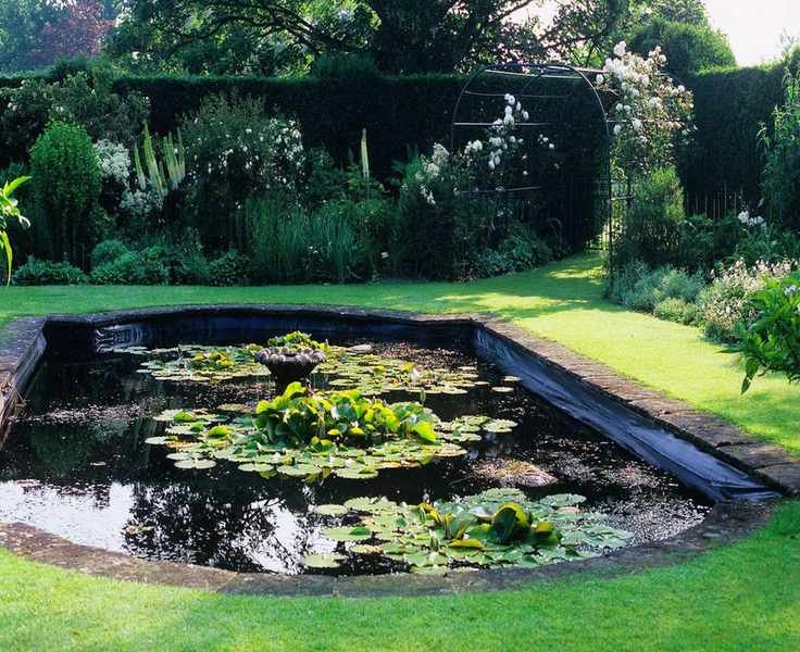 Top Water Garden Plants to Beautify Your Outdoor Oasis