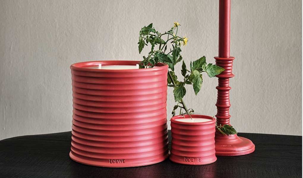 Why Loewe's Tomato Candle Is My Top Pick Among Luxury Scents