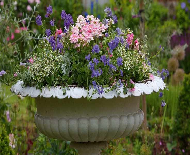 Mastering the Art of Container Gardening: Thrillers, Fillers, and Spillers