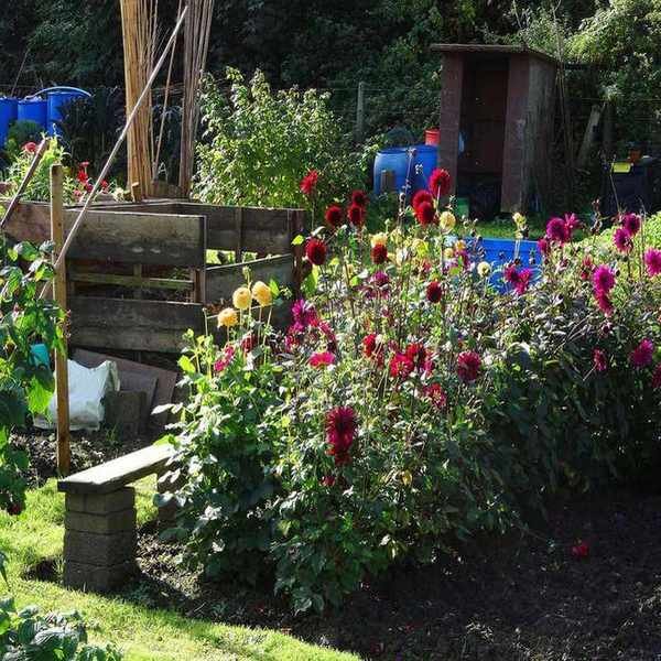 wooden compost bin in garden