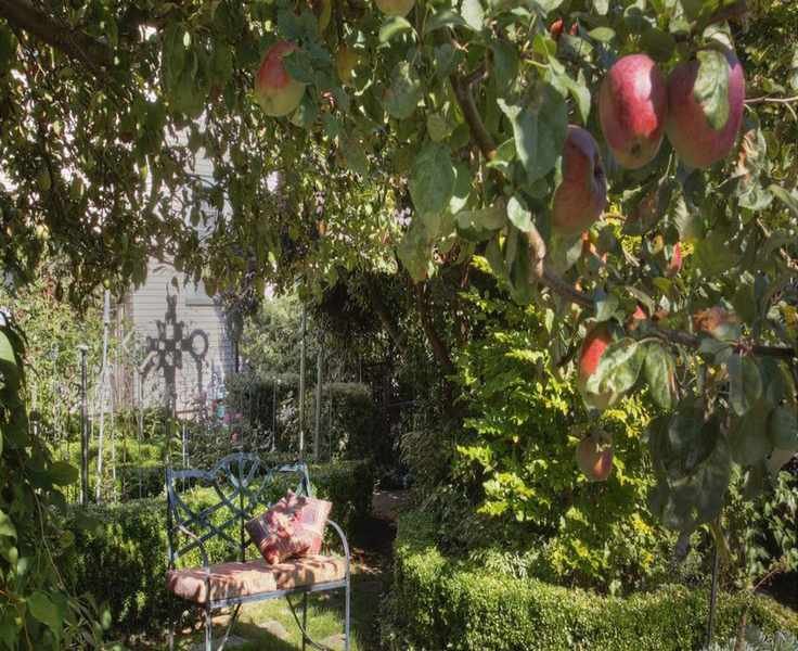 Fertilizing Fruit Trees: Best Practices for Healthy Growth