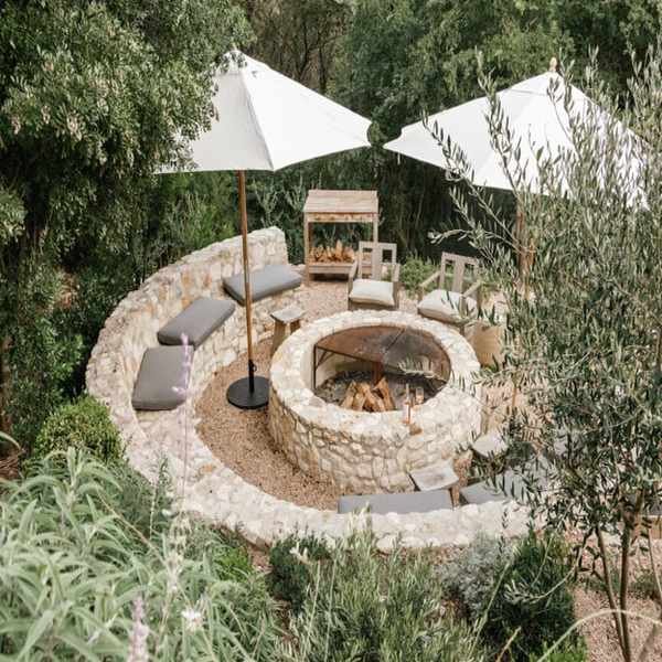 Transforming Our Backyard: Lessons from the Freeze and What We Planted