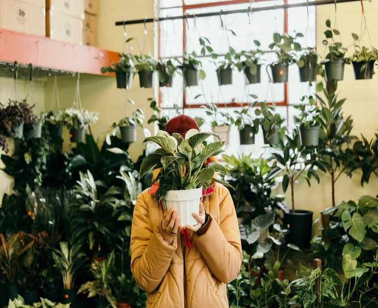 These Indoor Plants Will Be Trending in 2023