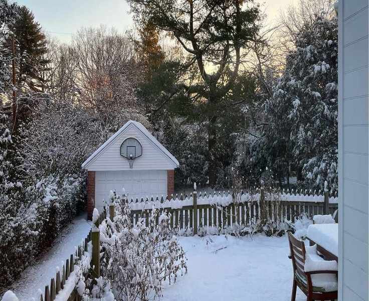 Winter Gardening Tasks: 13 Essential Steps to Protect Your Greenery