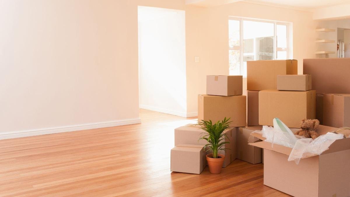 Transform Your Kitchen with the Packing Party Decluttering Method