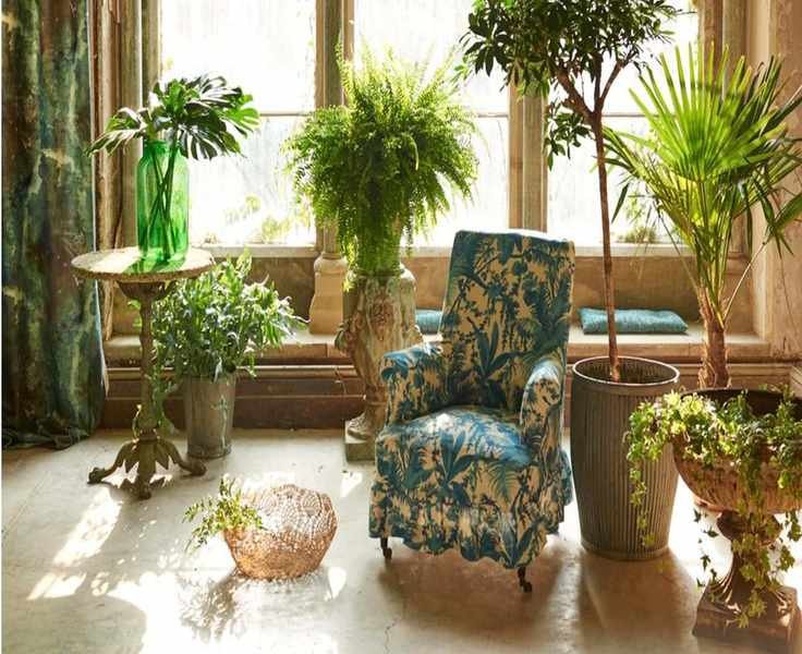 Explore 12 Feng Shui Houseplants for Positive Energy and Harmony