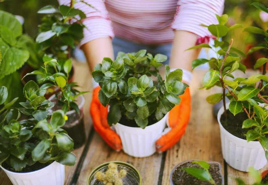 4 Simple Strategies to Kickstart Your Savings Journey Today