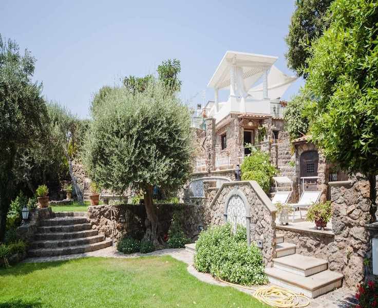 Top Statement Trees – 12 Varieties to Enhance Your Garden's Appeal