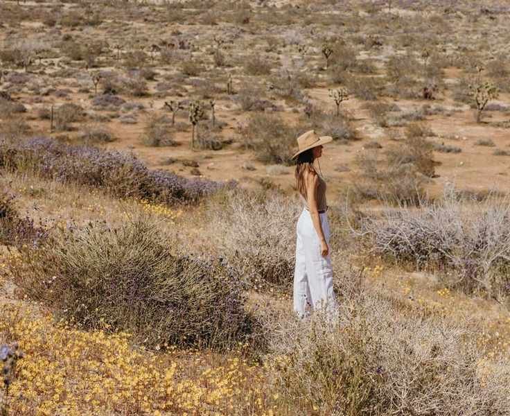 Transforming Walking Into a Therapeutic Journey for Mental Clarity