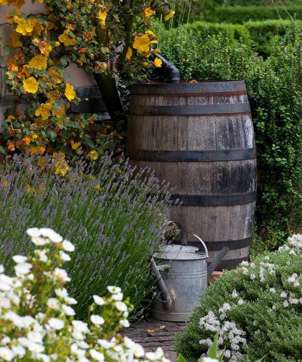 water butt used to collect rainwater for a sustainable garden