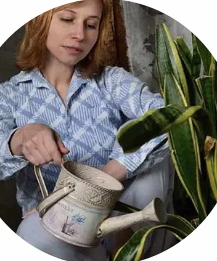 Diana Cox