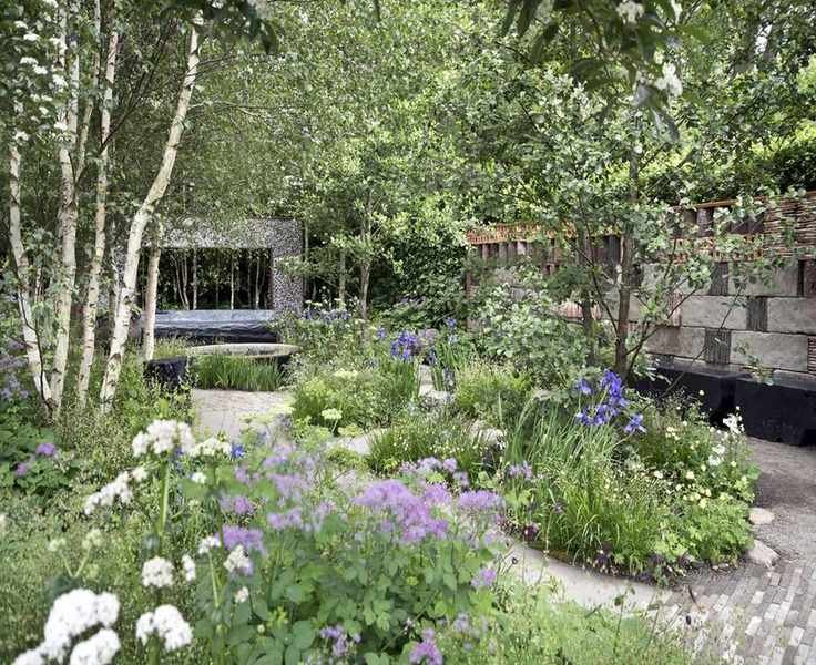 Essential Spring Pruning for 5 Flowering Trees to Maximize Blooms