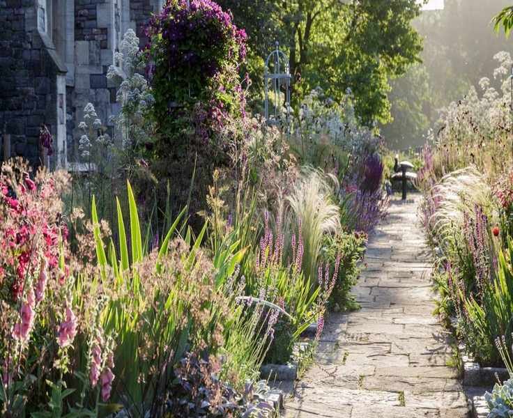 7 Plants to Deadhead in August for a Second Bloom This Summer