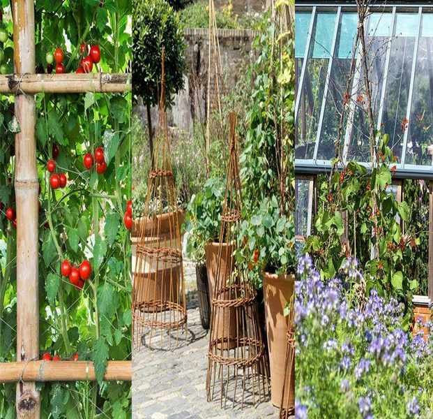 18 Creative Vegetable Garden Trellis Ideas for a Thriving Harvest