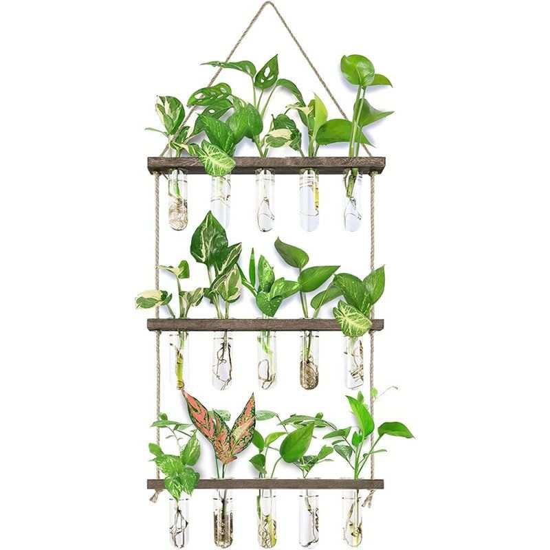 Dakota Fields Wall Hanging Propagation Station