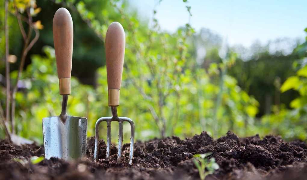 Expert Tips for Choosing Gardening Tools That Last a Lifetime