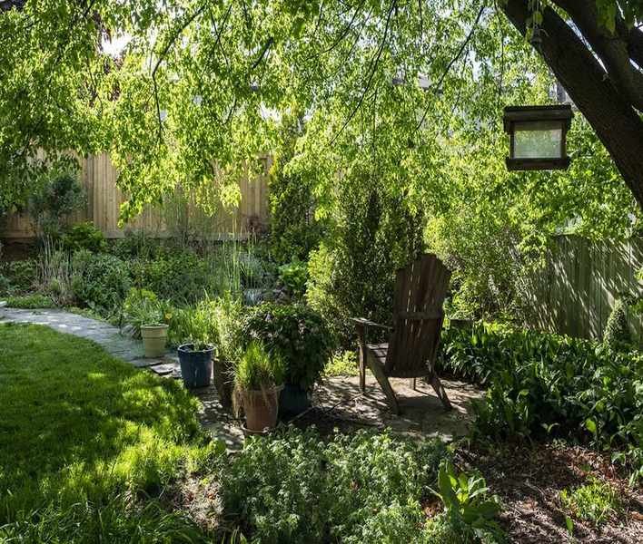 Drought Tolerant Shade Plants: 8 Options for Dry Gardens