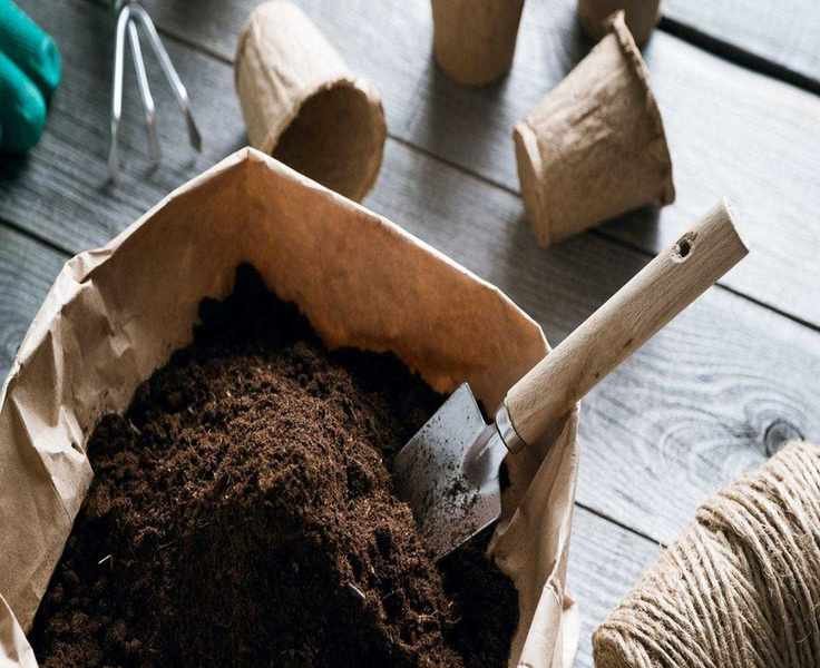 Top 5 Eco-Friendly Alternatives to Peat Moss for Your Garden
