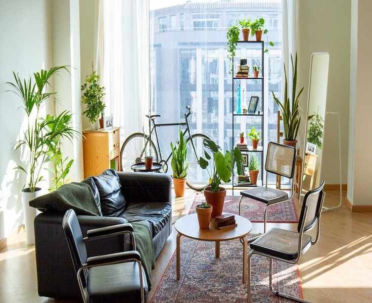 Indoor Gardening: Essential Tips for Thriving Plants in Apartments