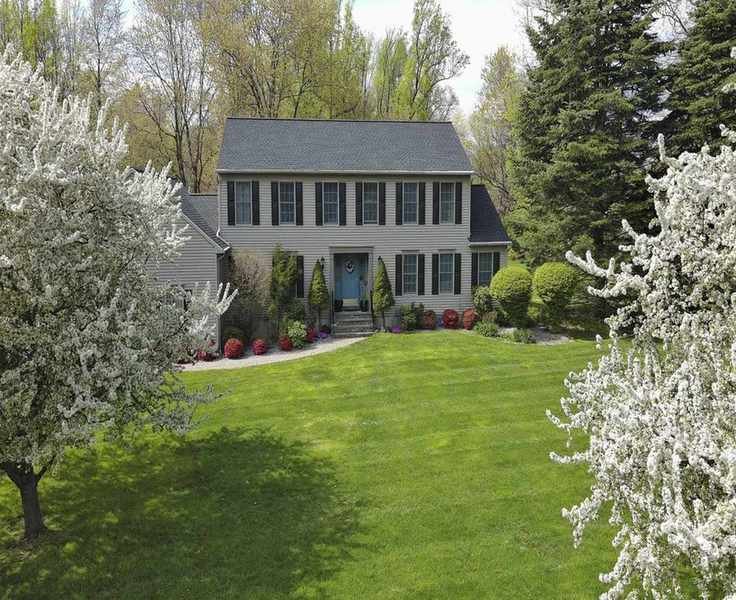 Use Dish Soap for Moss Removal on Your Lawn: A Creative Approach