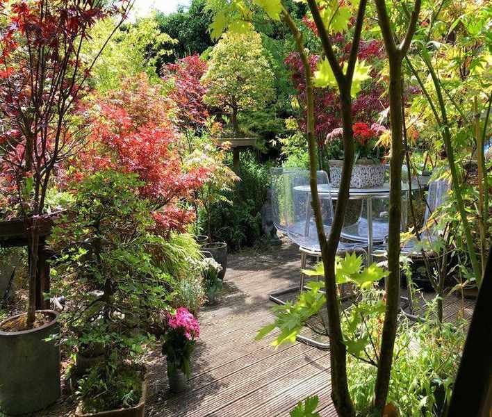 Best Times for Pruning Trees: Expert Tips for Optimal Growth