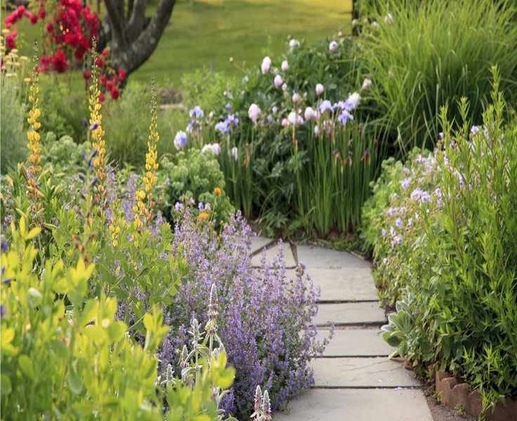 Paving Planting: A Trend to Beautify Garden Paths with Ease