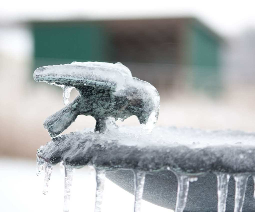 bird bath frozen over with frozen water droplets