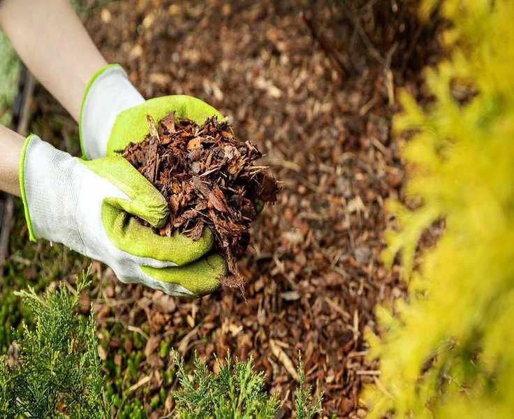 Timing Your Mulching for Flower Beds: Expert Tips to Follow