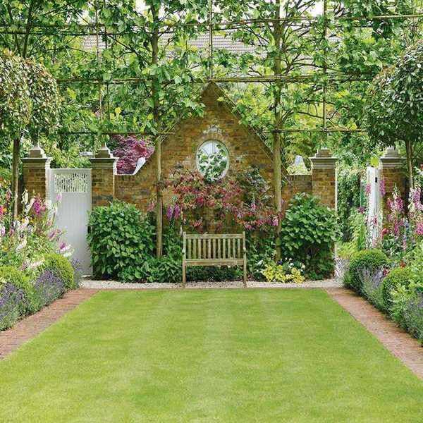 10 Trees Perfect for Espaliering to Enhance Your Garden Space
