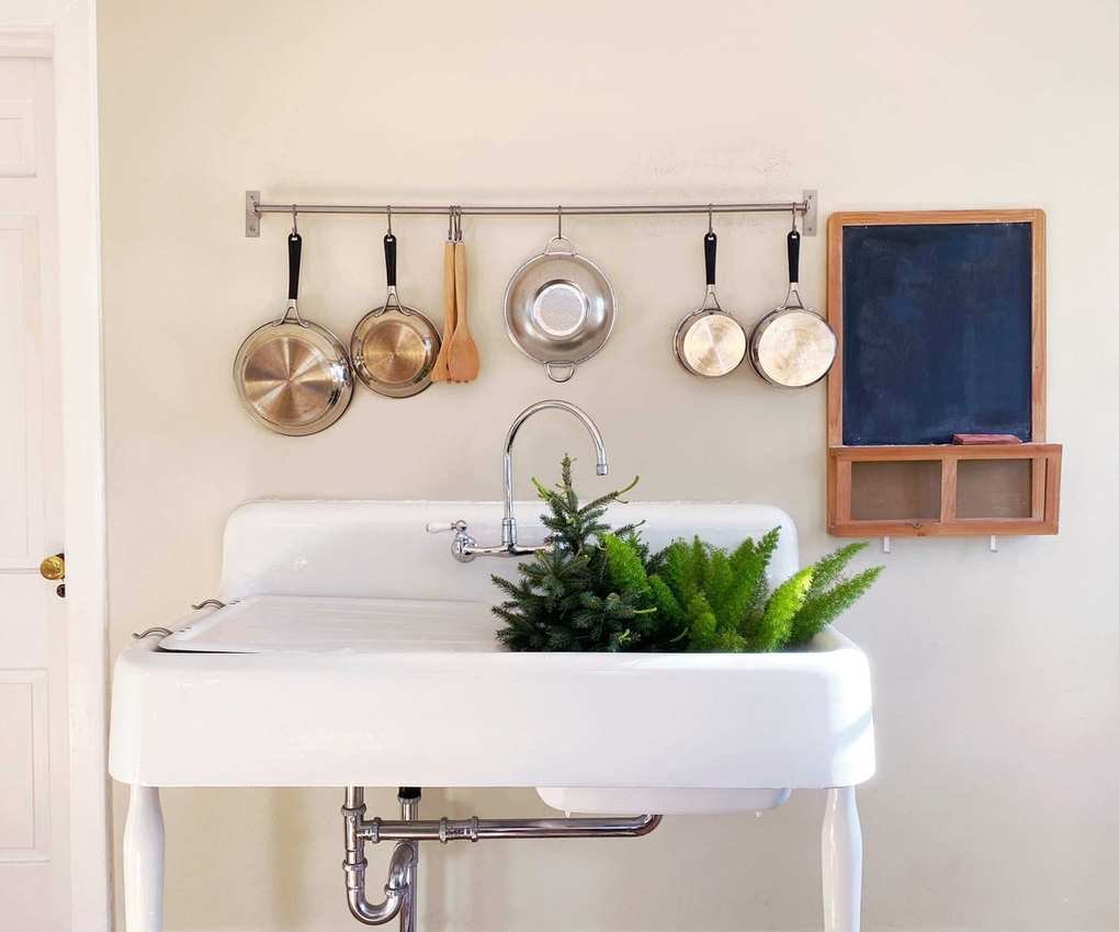 Plants being watered from the bottom in a kitchen sink