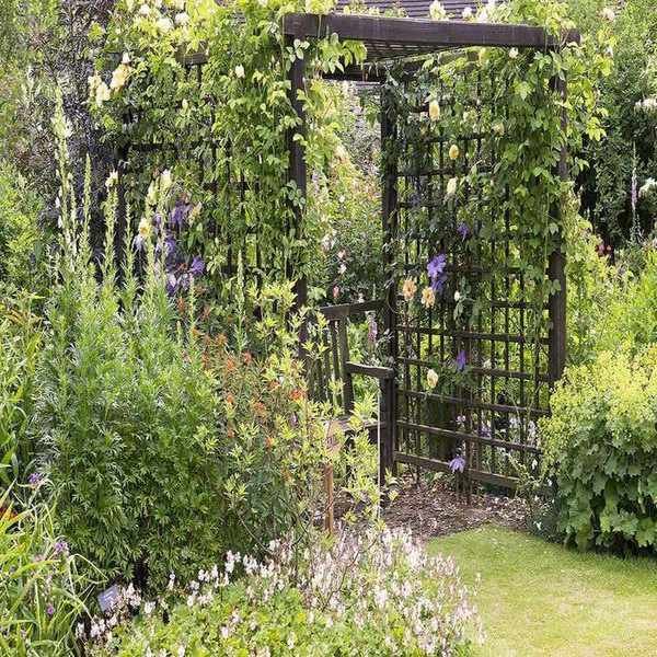 Trellis Inspirations: 17 Stunning Ways to Enhance Vertical Spaces