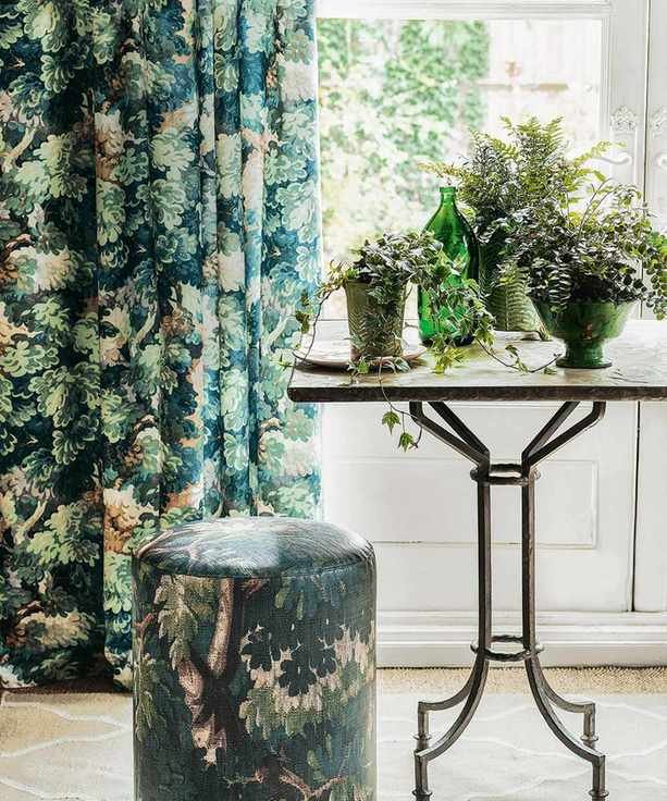 Monty Dons house plant watering tip