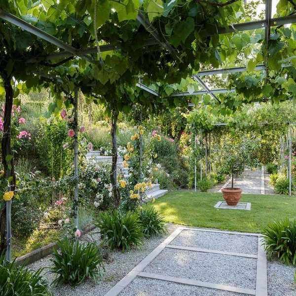 Tropical garden ideas on a garden path with climbers