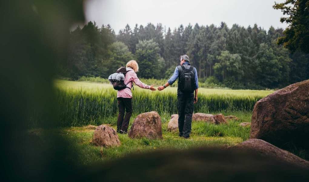 Top 3 Essential Retirement Planning Tools You Need Today