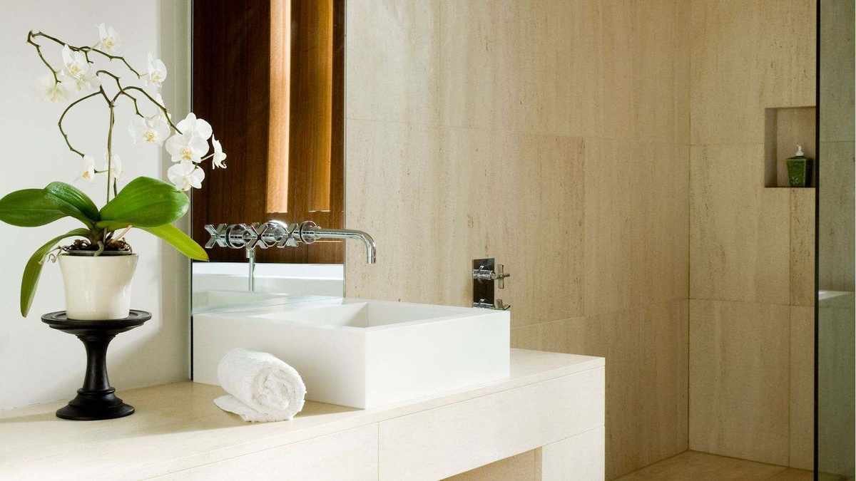 Keep Your Orchid Hydrated: The Simple Bathroom Hack That Works