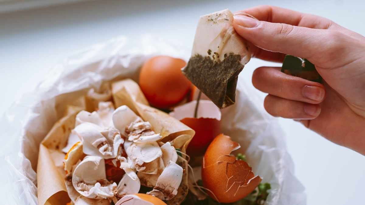 Are Tea Bags Compostable? What You Need to Know Before Tossing Them